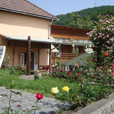 Casa Katona Apartamento Sovata Exterior foto