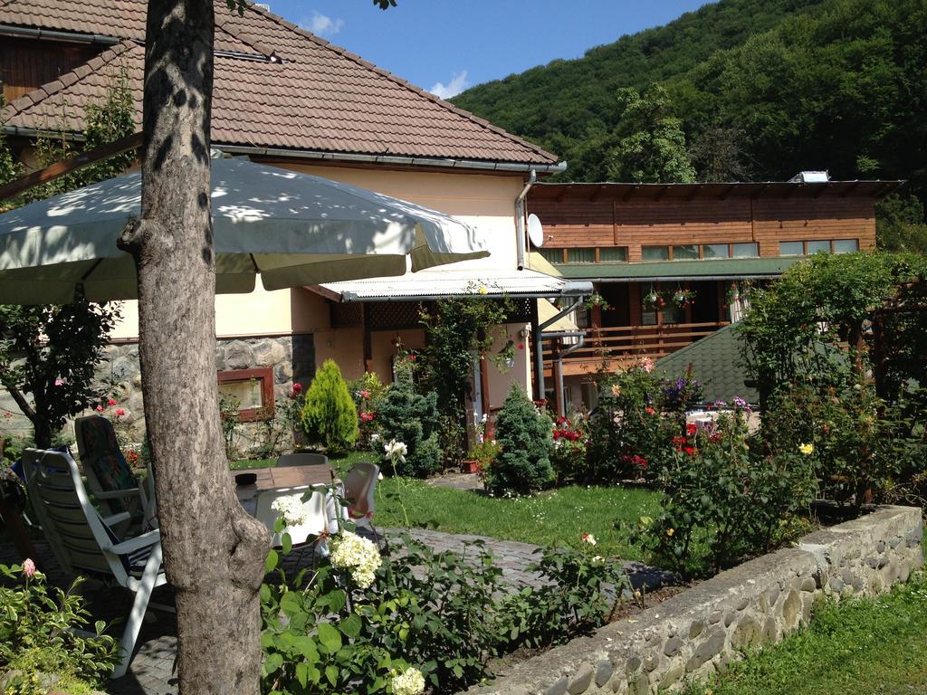 Casa Katona Apartamento Sovata Exterior foto